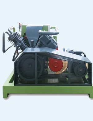 10-dgw-oil-free-piston-air-compressor